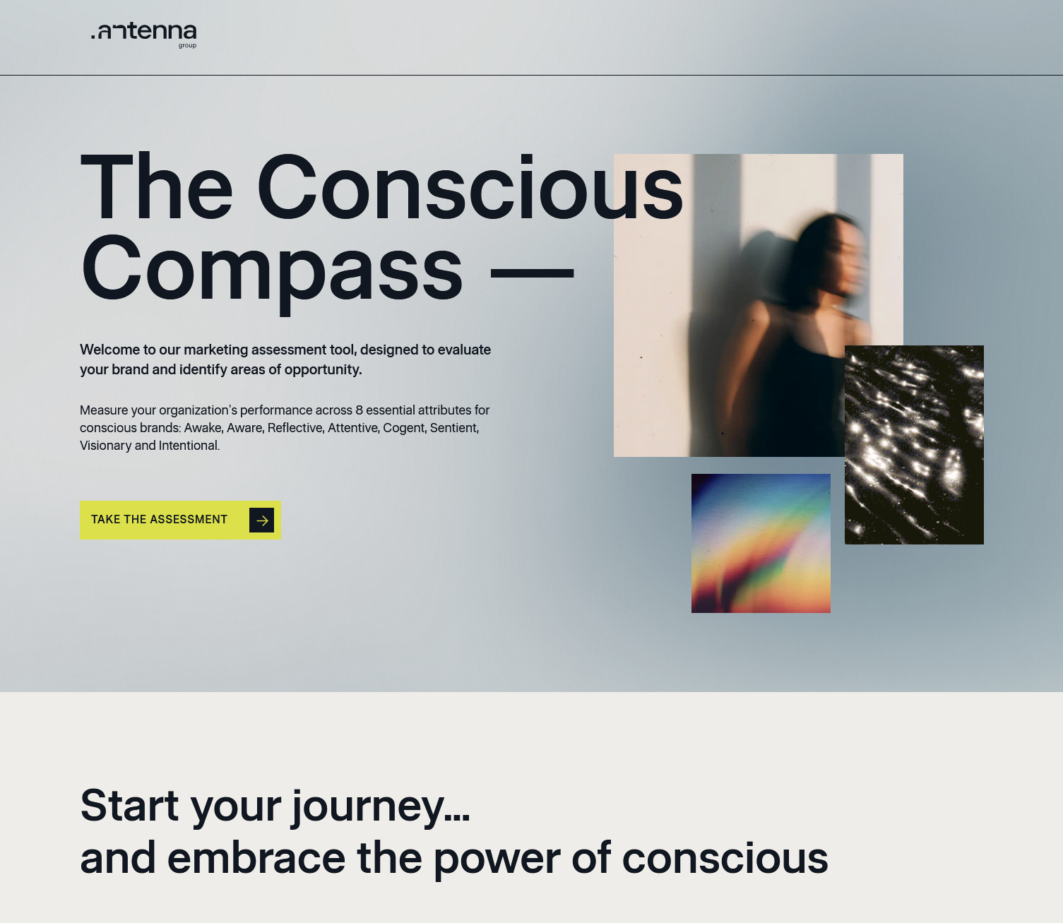 Conscious Compass